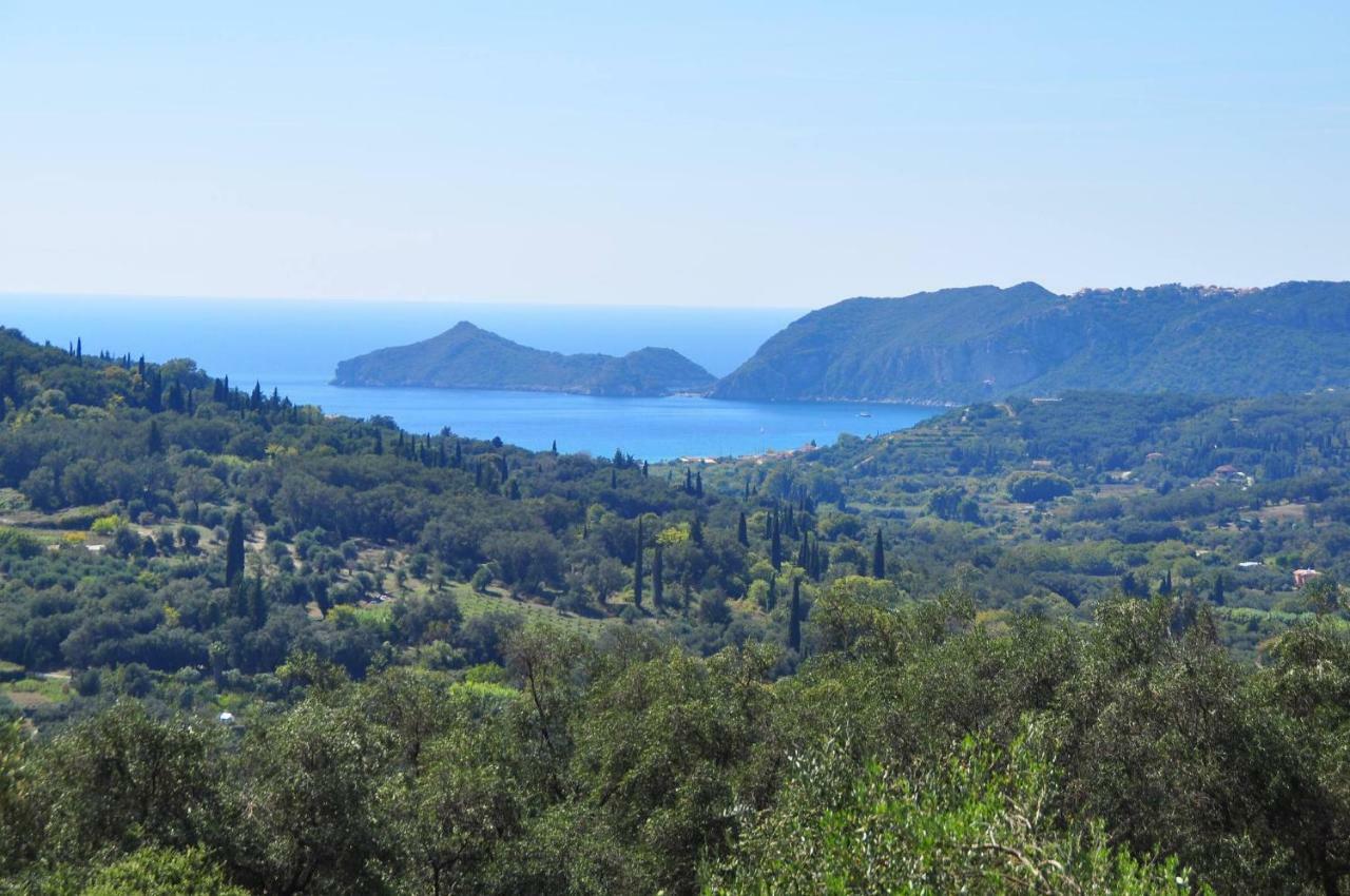 Angela Pool Apartments Agios Georgios Pagon Rum bild